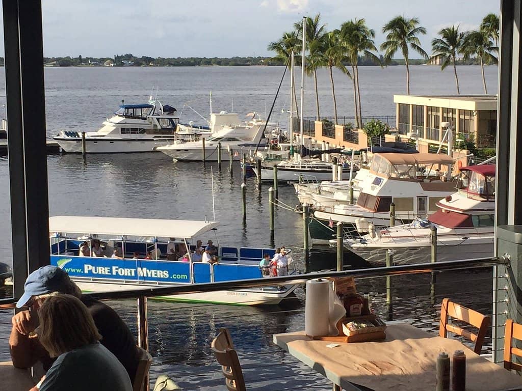 Dolphin Sightings