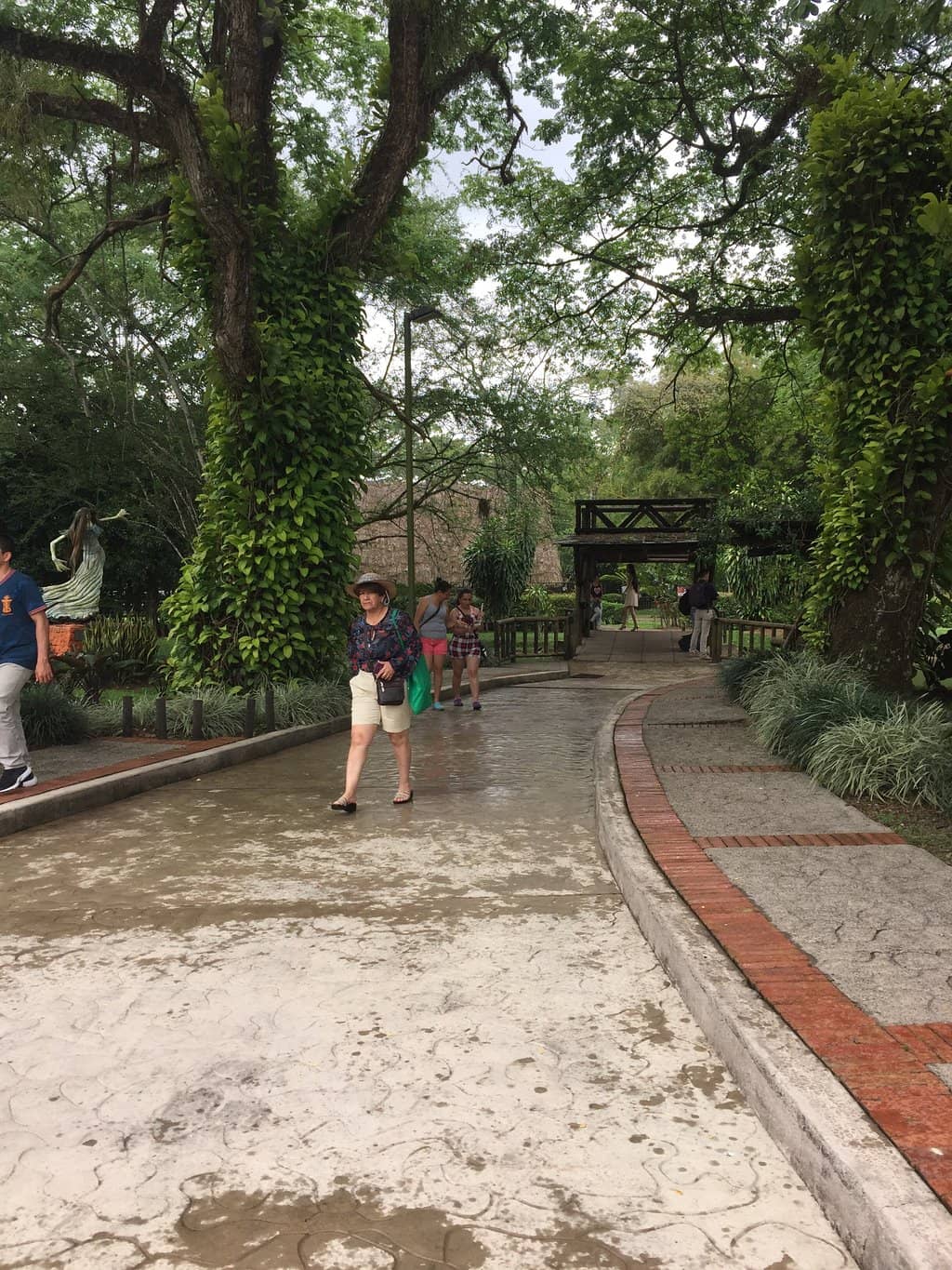 Corcumvi Kids Events