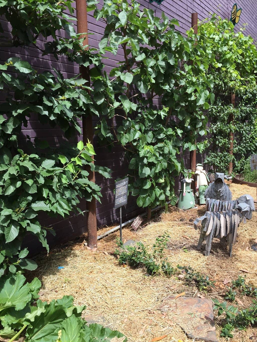 Horticultural Book Collection