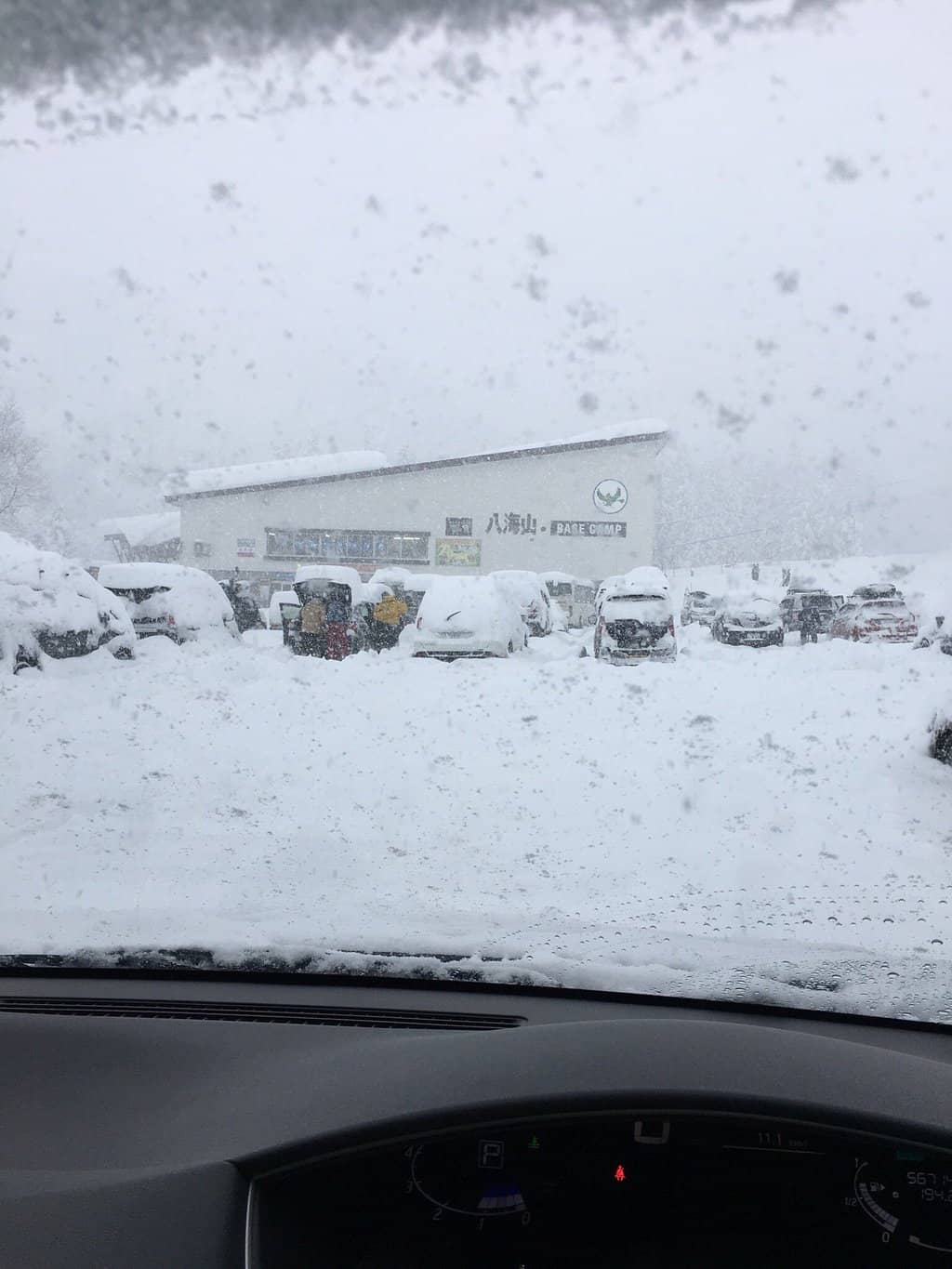 Off-Piste & Tree Skiing