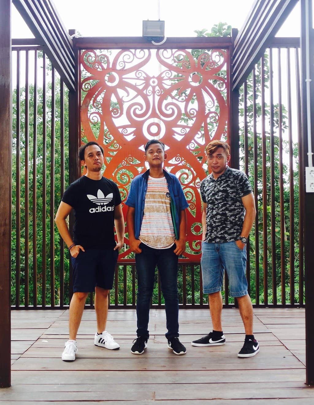 Ancient Forest Trails