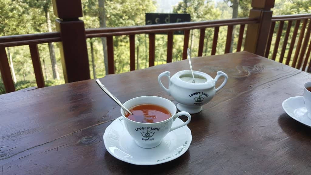 Scenic Tea Tasting