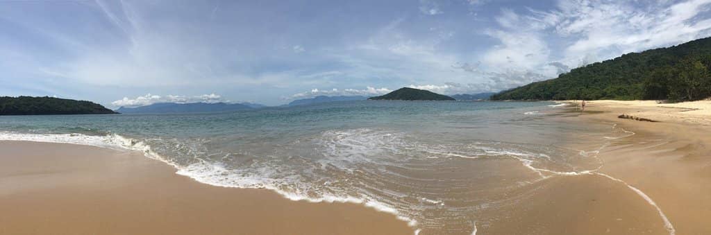 Invigorating Waves