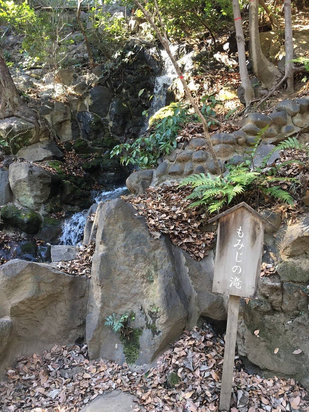 Vertical photo
