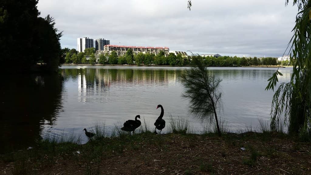 Adventure Playgrounds