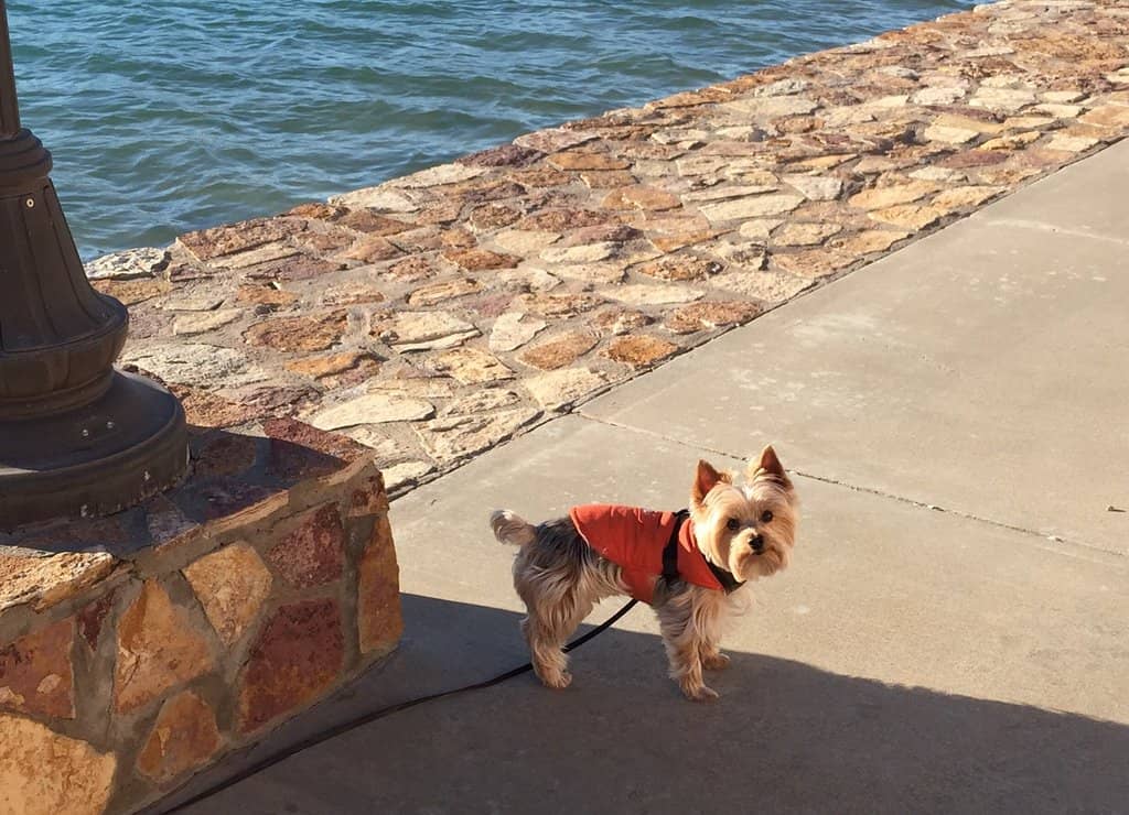 Water Sports & Activities