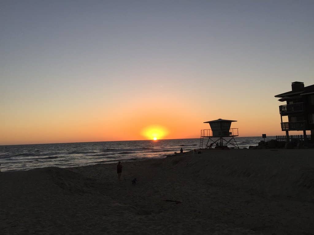 Local Culinary Delights