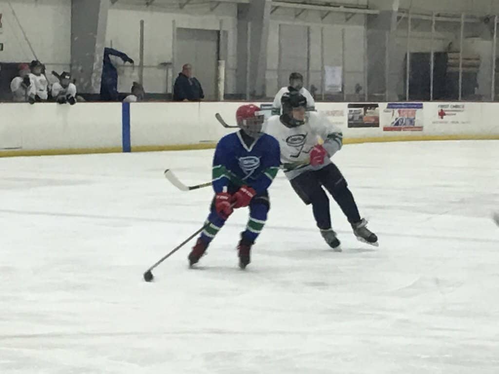 Youth & Adult Hockey Leagues