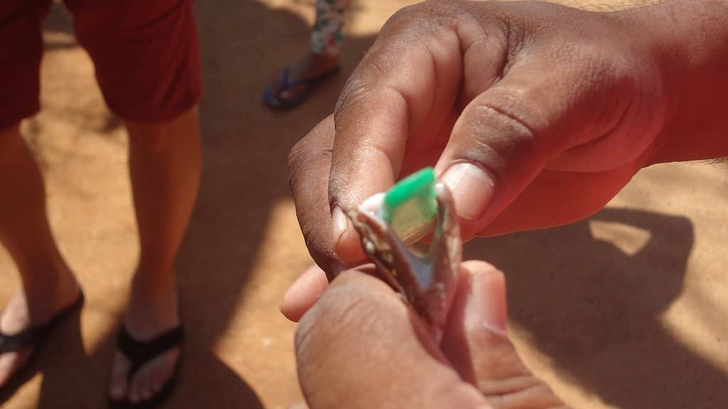 Educational Insights