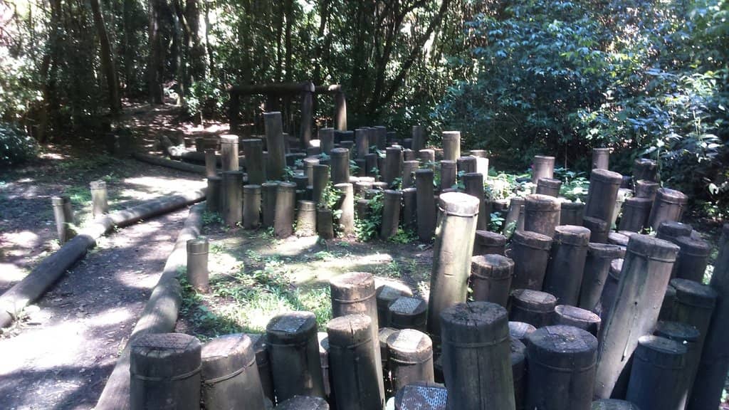 The Children's Trail