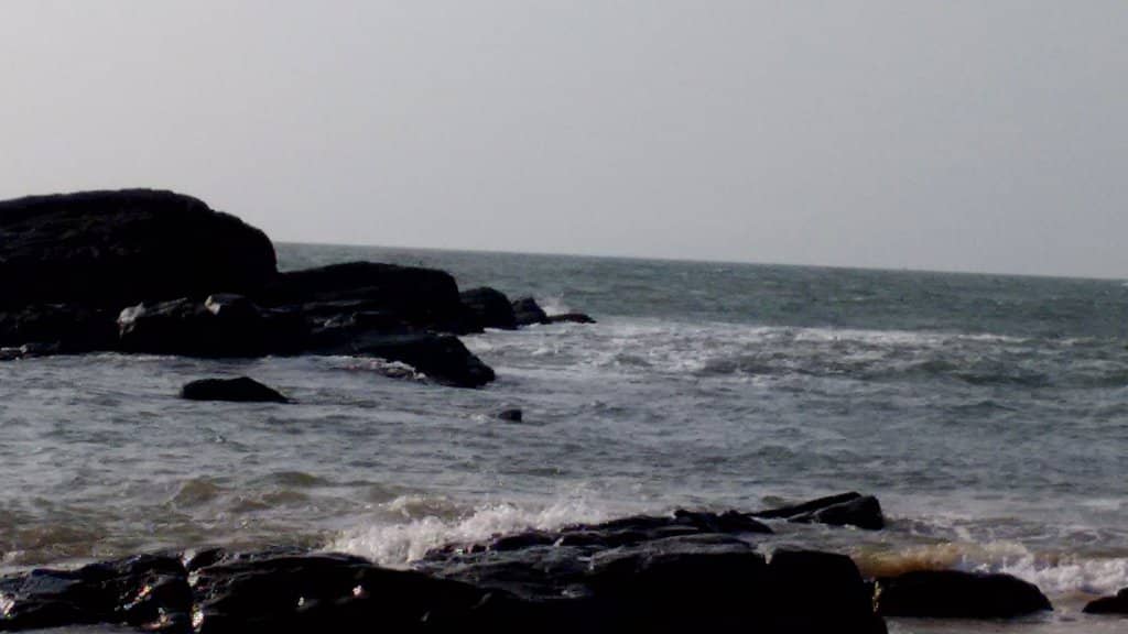 Tranquil Palm-Fringed Shores