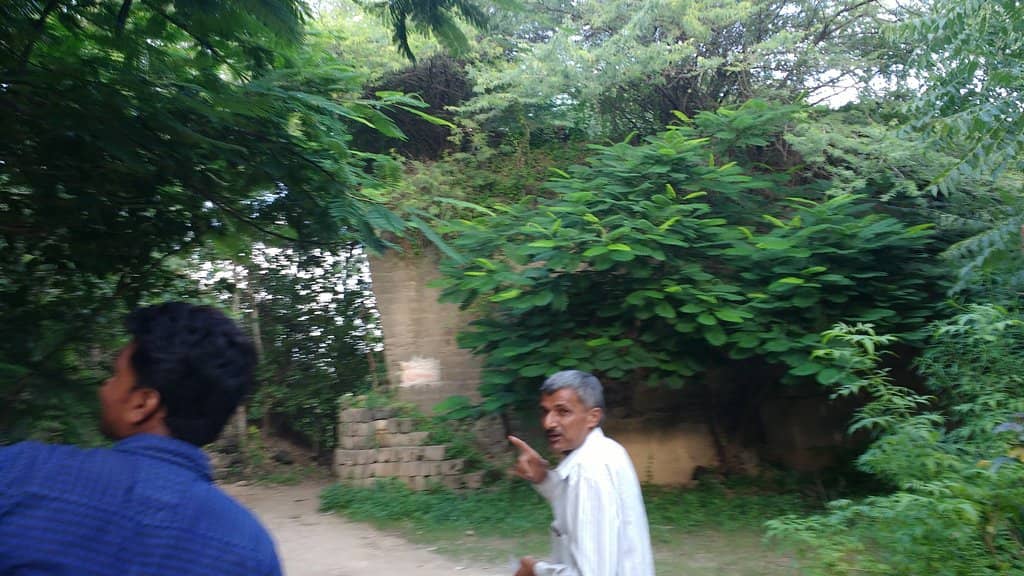 Serene Natural Beauty