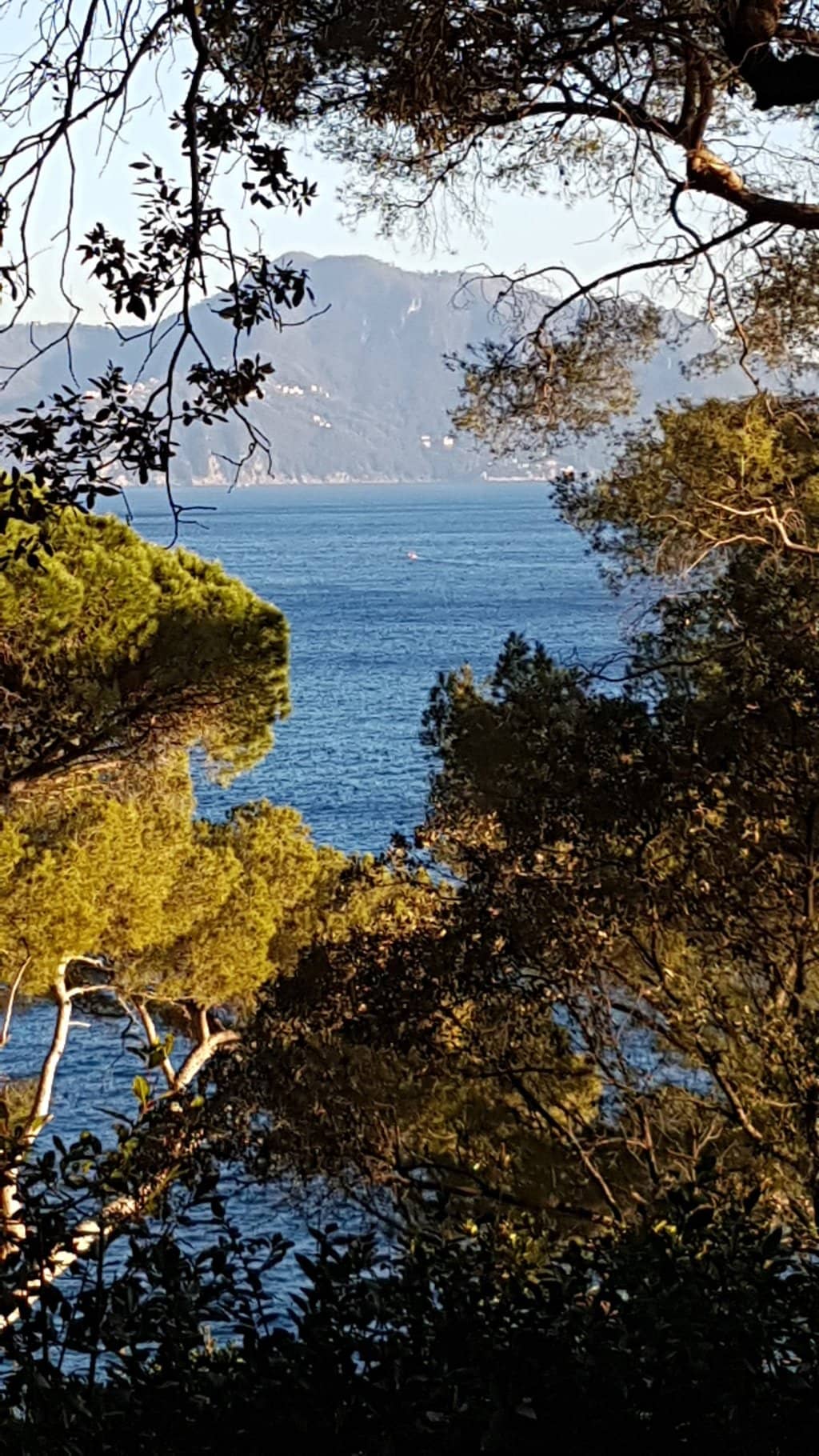 Ground Floor Collection