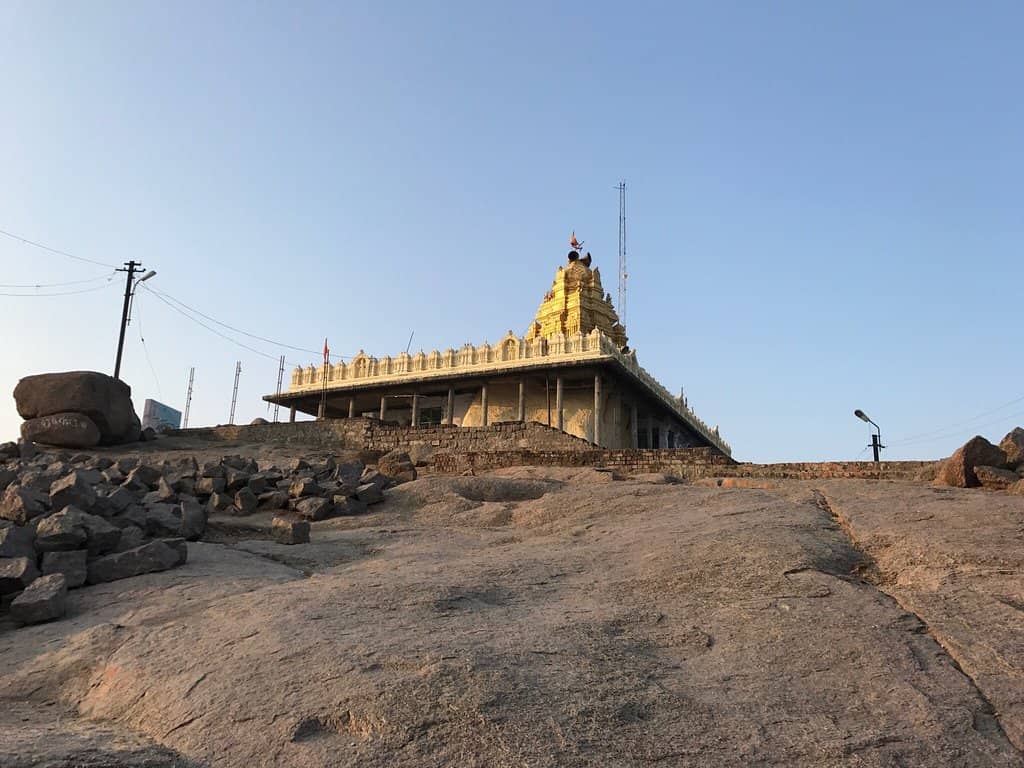 Panoramic City Views