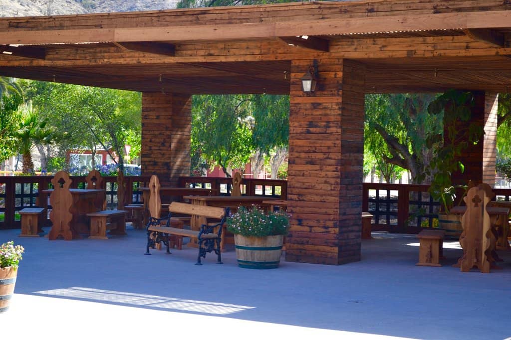 Pisco Tasting Session