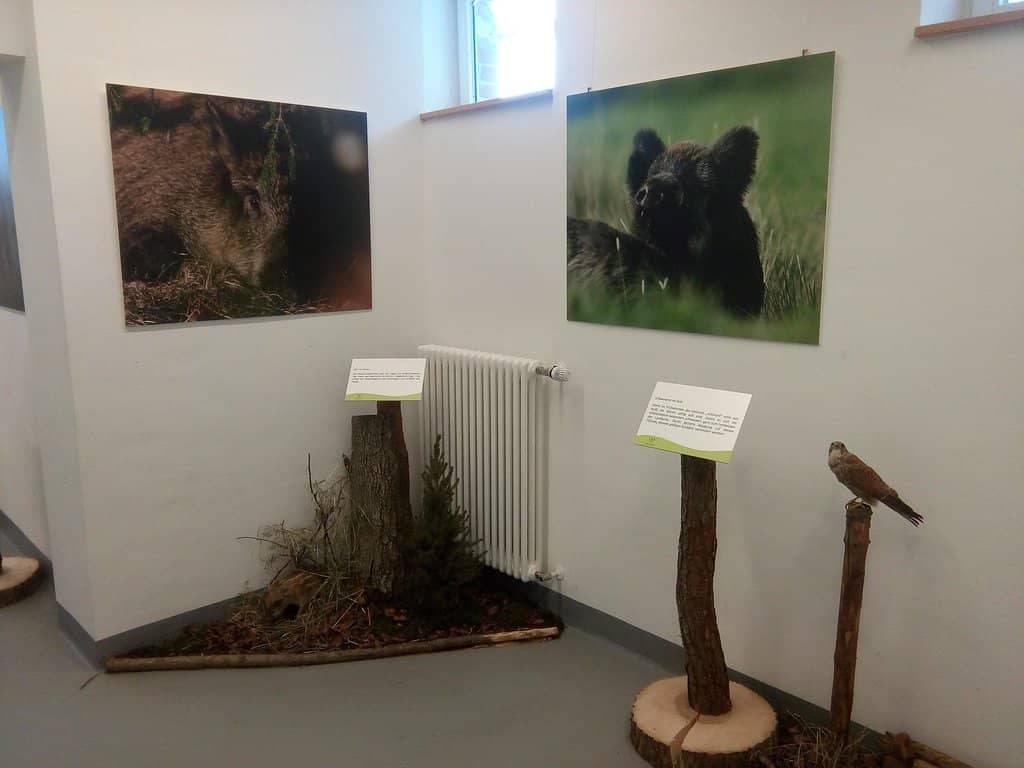 Karst Landscape Exploration