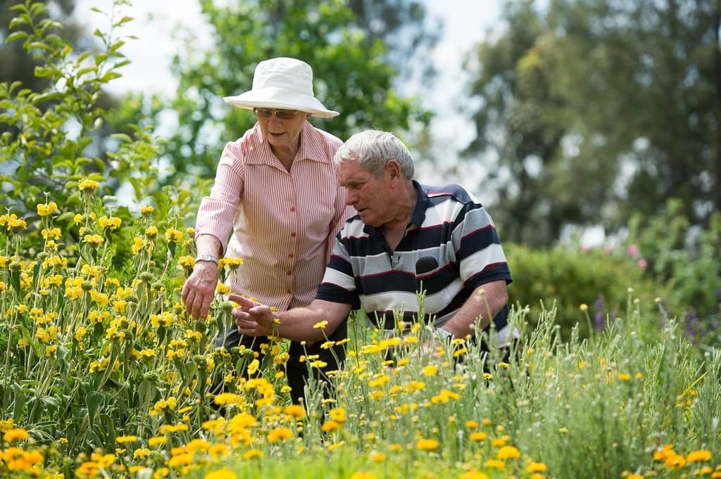 Garden for the Future