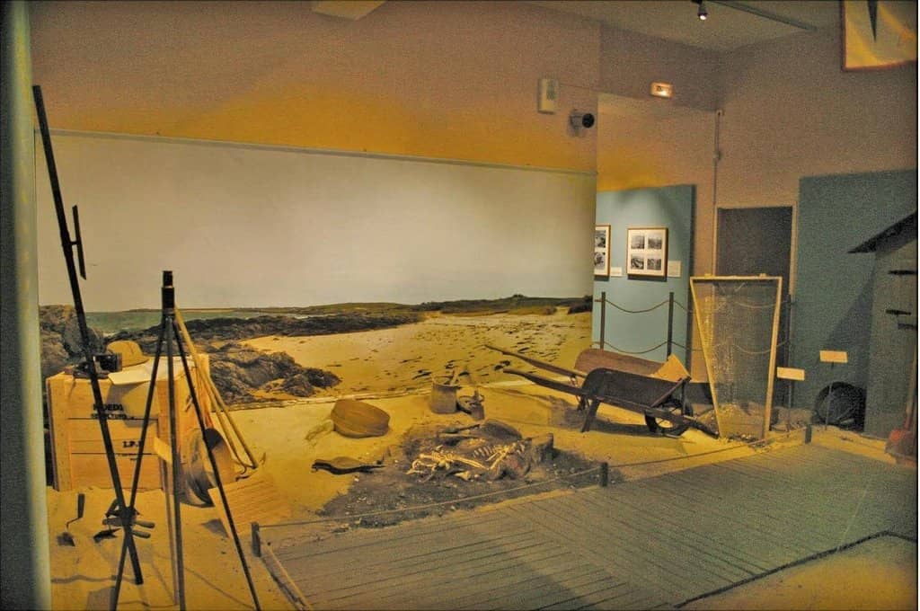 Well-Laid Out Exhibits