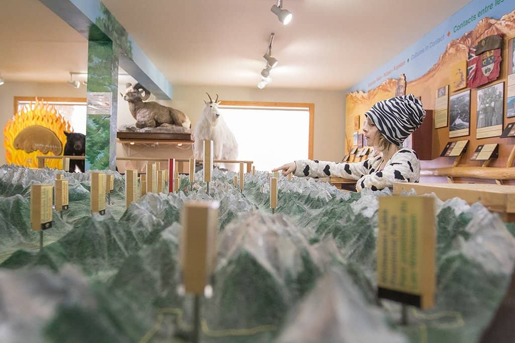 Kootenay & Banff National Parks Relief Map