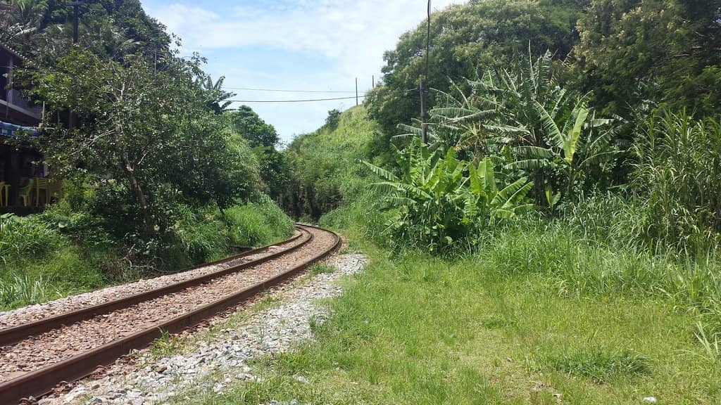 Expansive Sandy Shores