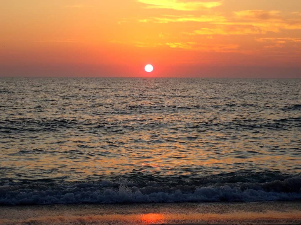 Tranquil Shores