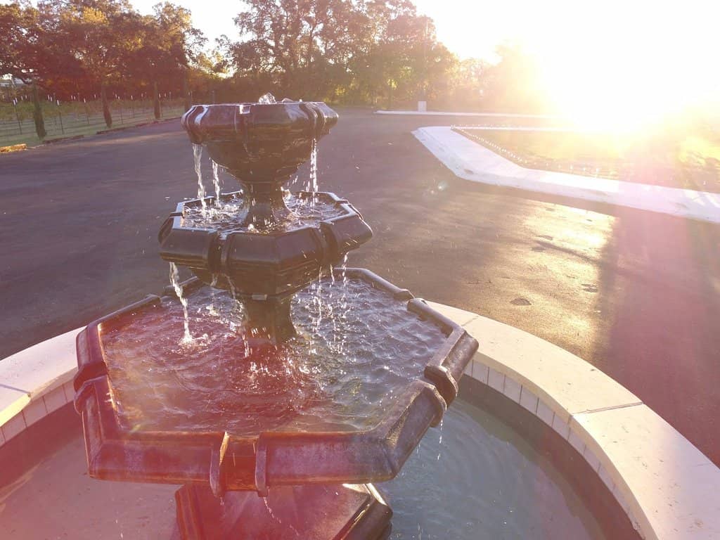 Family-Friendly Atmosphere