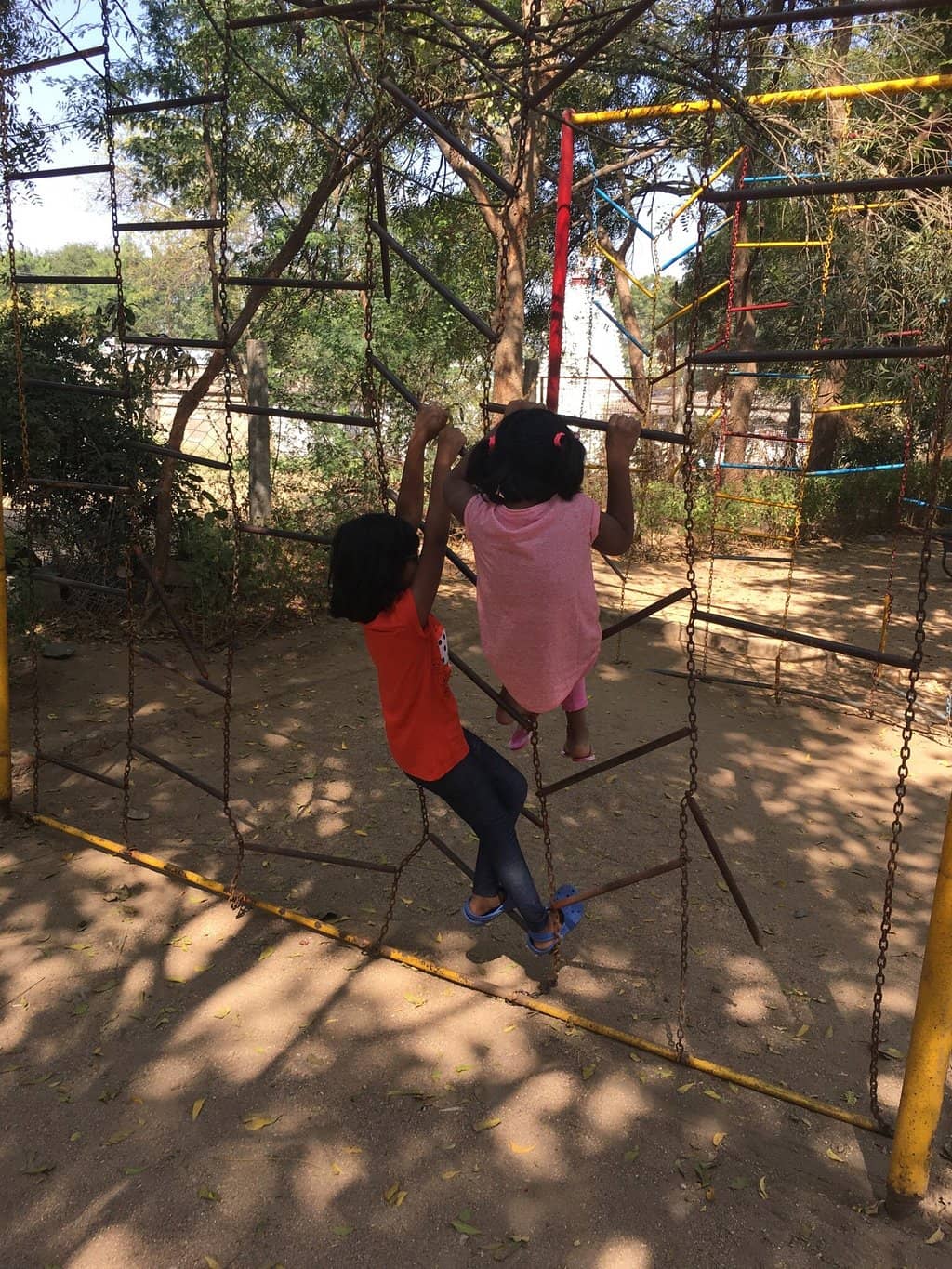 Vertical photo
