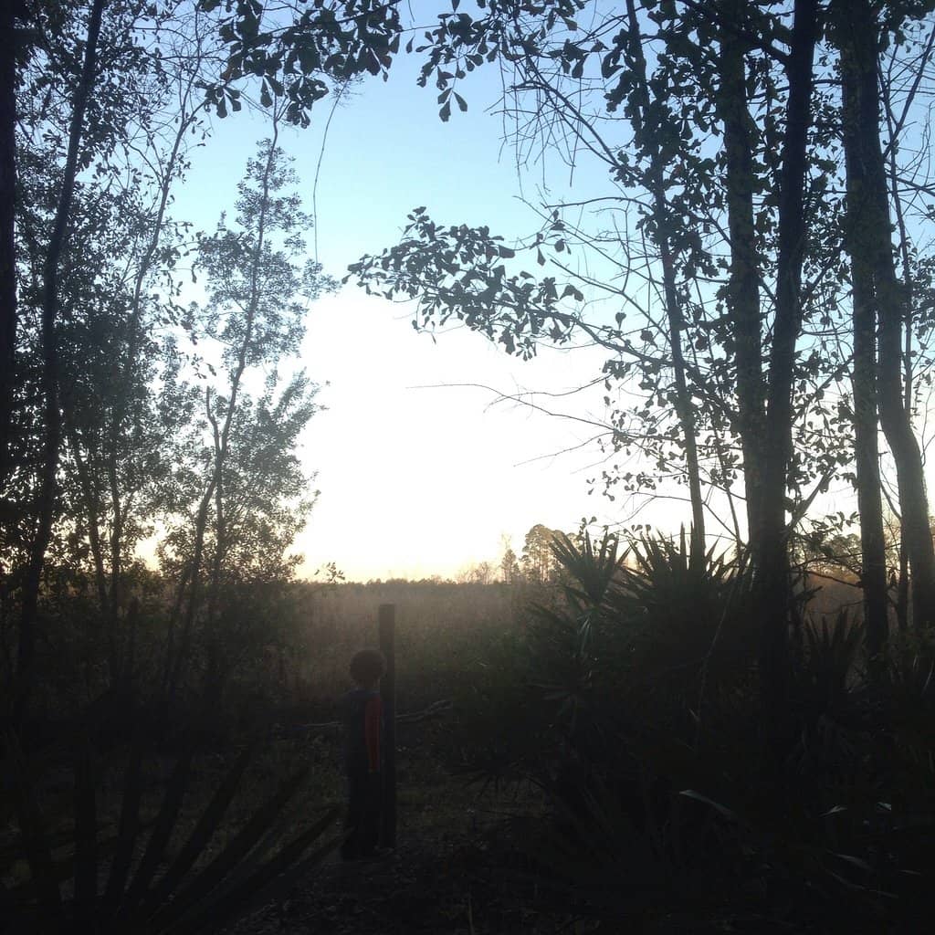 Extensive Trail Network