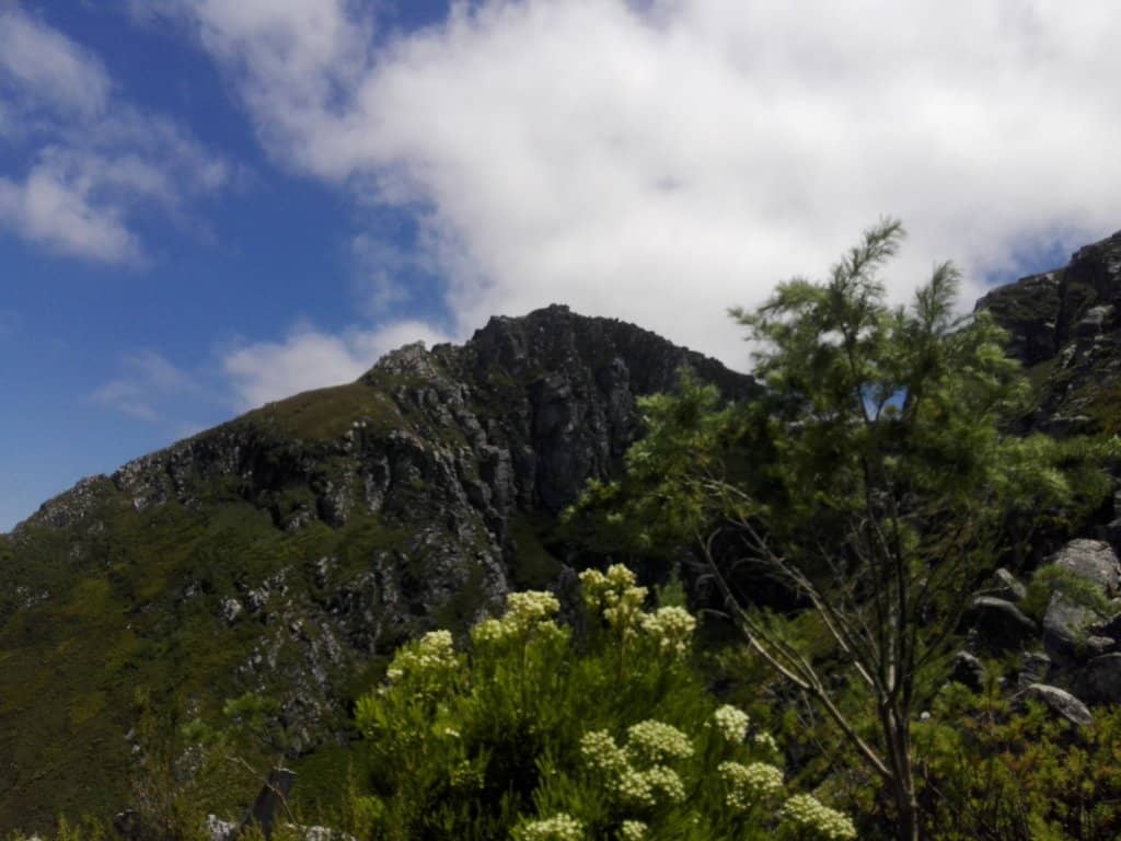 Plaat Loop Trail