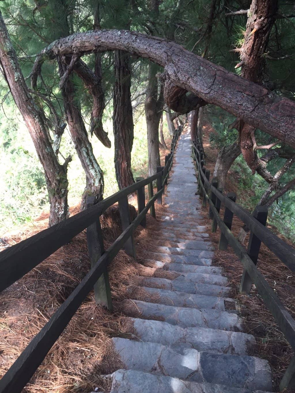 Vertical photo