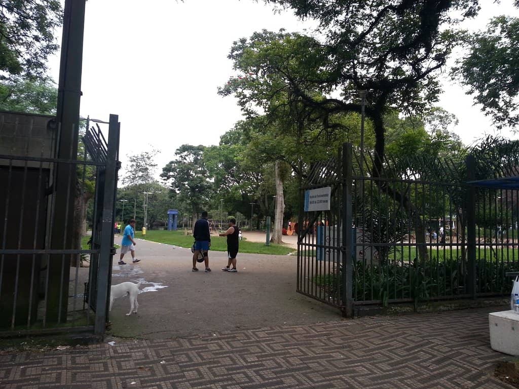 Vibrant Playground