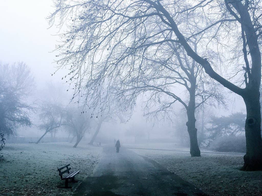 Outdoor Fitness Zone
