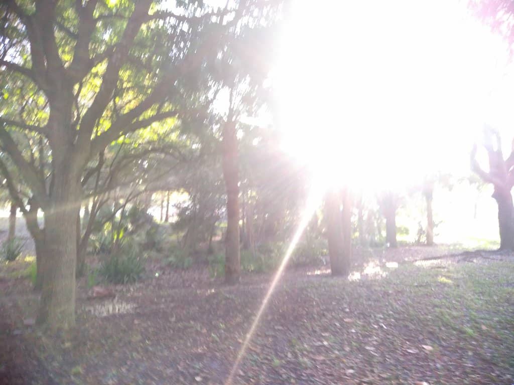 Vertical photo
