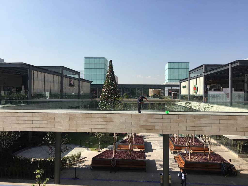 Tranquil Daytime Green Space