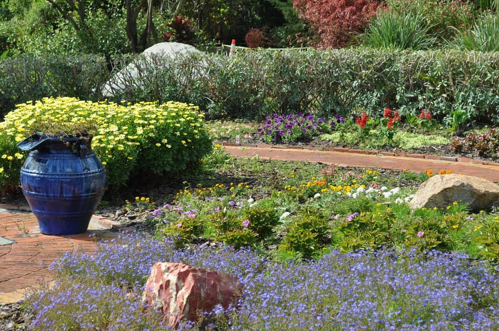 Vegetable & Herb Gardens