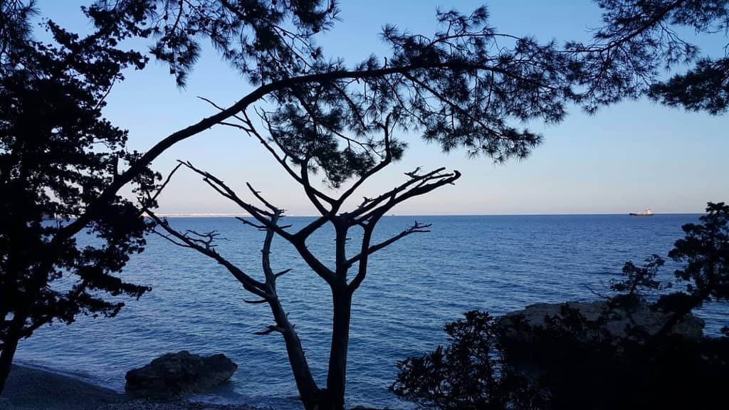 Picnic and Recreation Areas