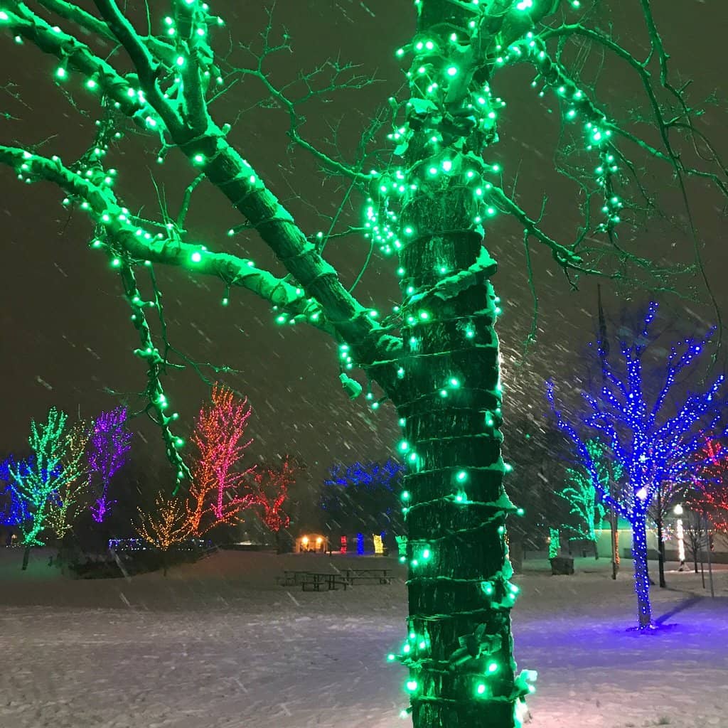 Founder Statues & Plaques