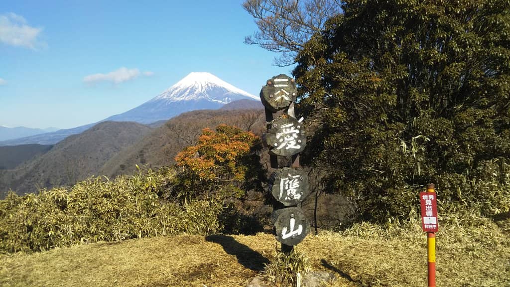 Vertical photo