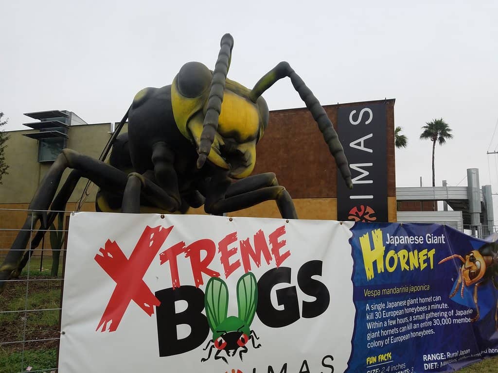 Science on a Sphere Theater