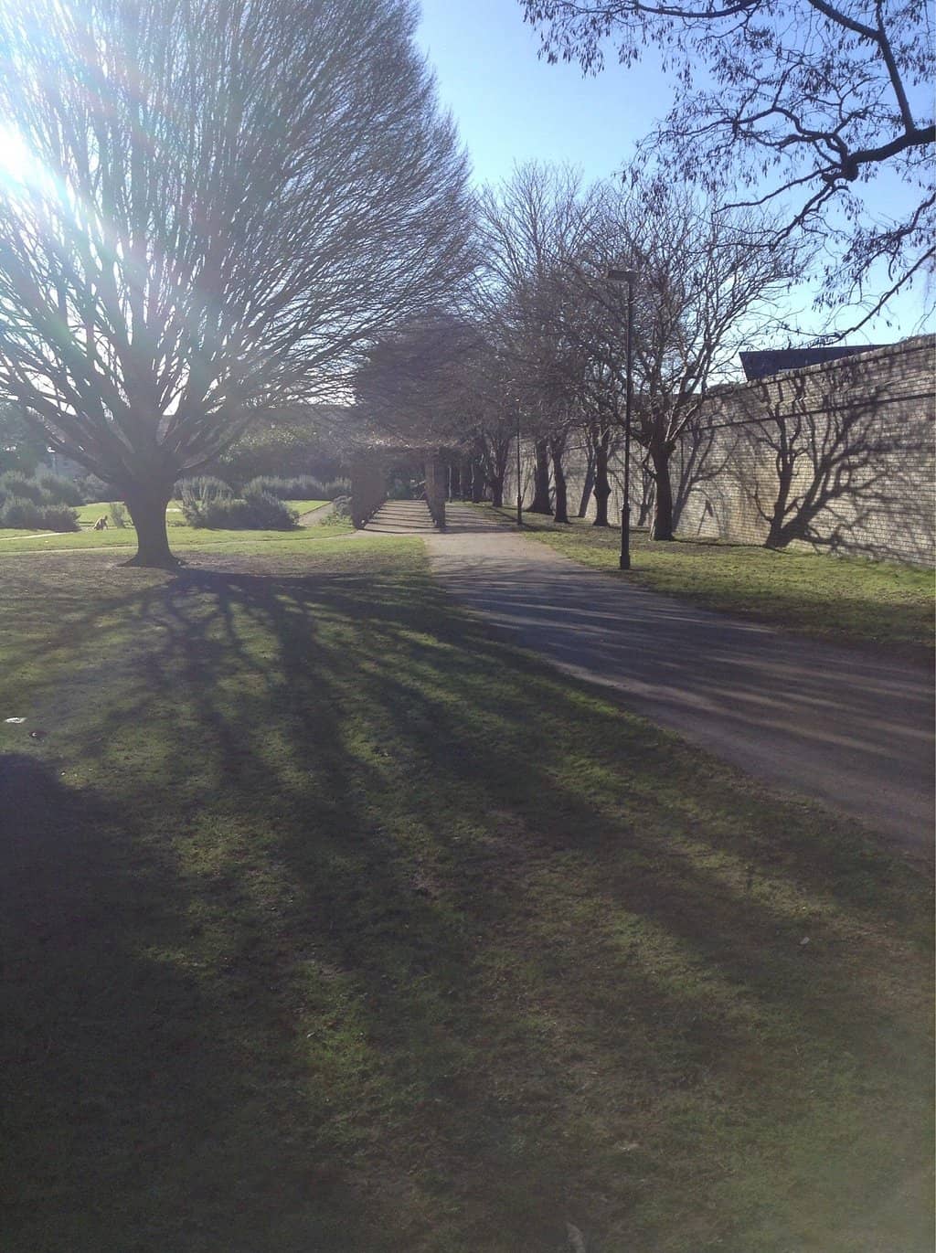 Children's Play Area