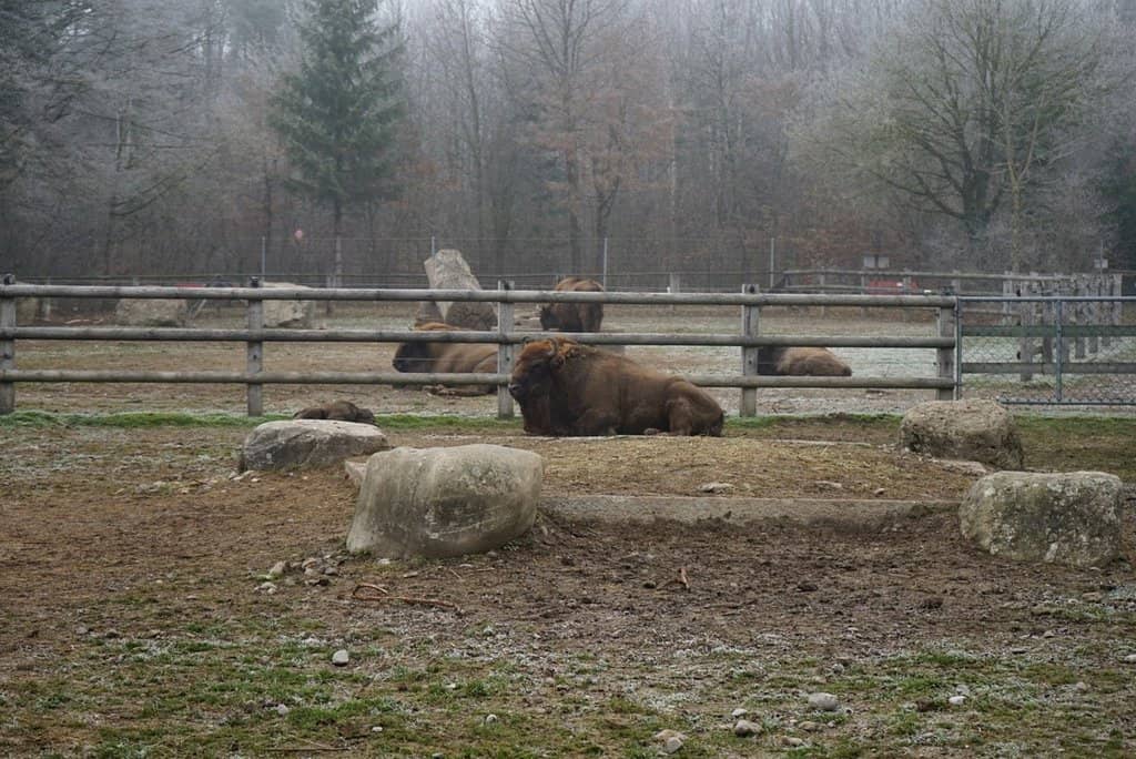 Third hero image