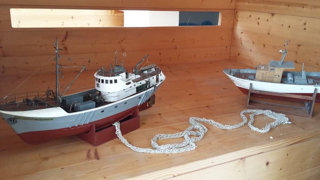 Potential Dolphin Sightings