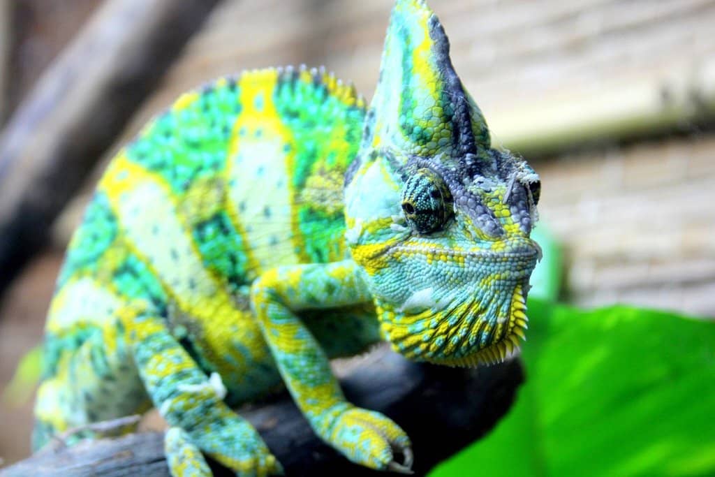 Rockland Estate Museum