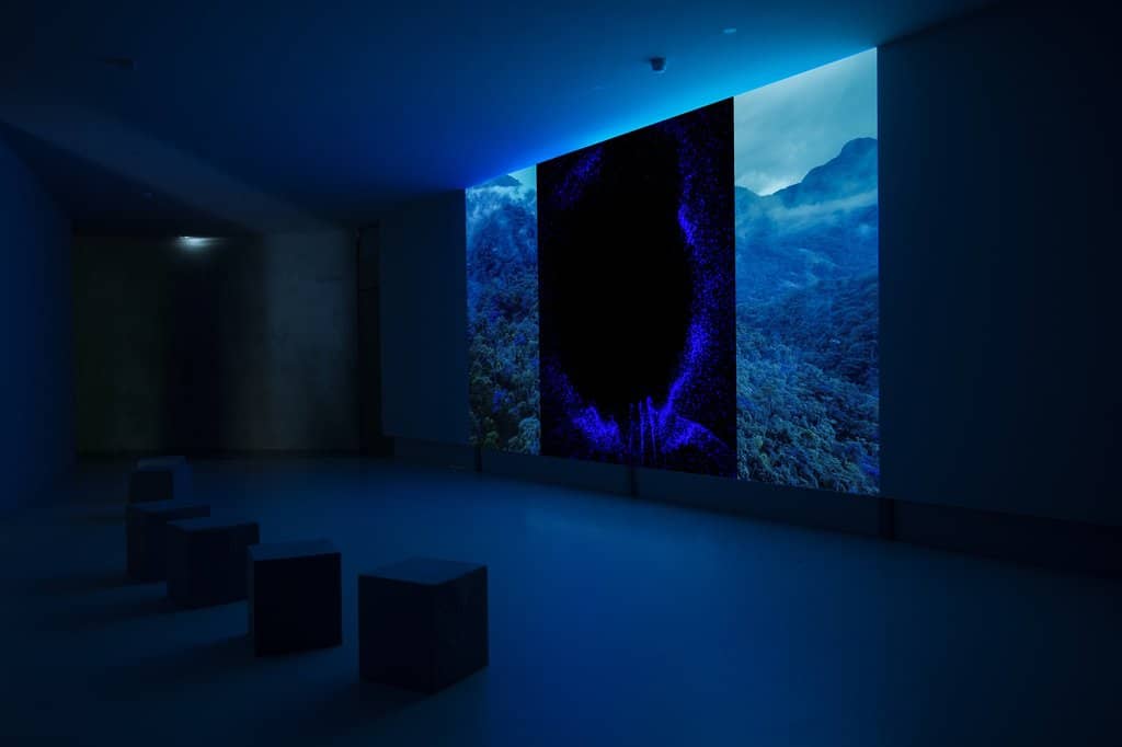 Rotating Exhibitions