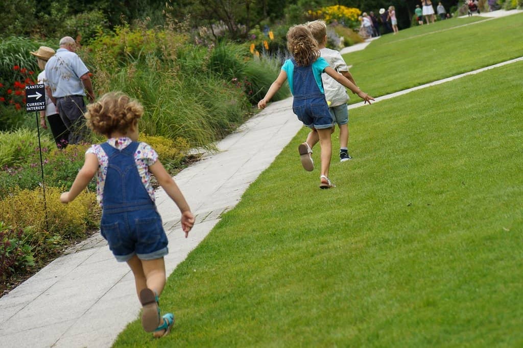 Family Adventure Zones