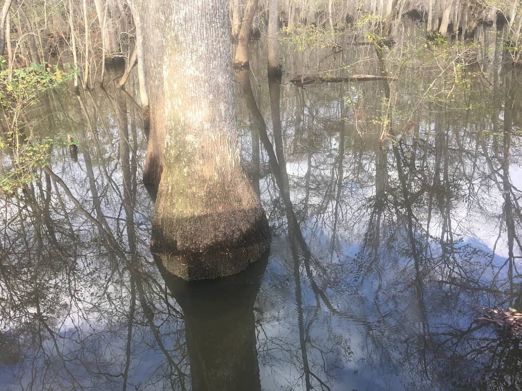Paddleboarding and Kayaking