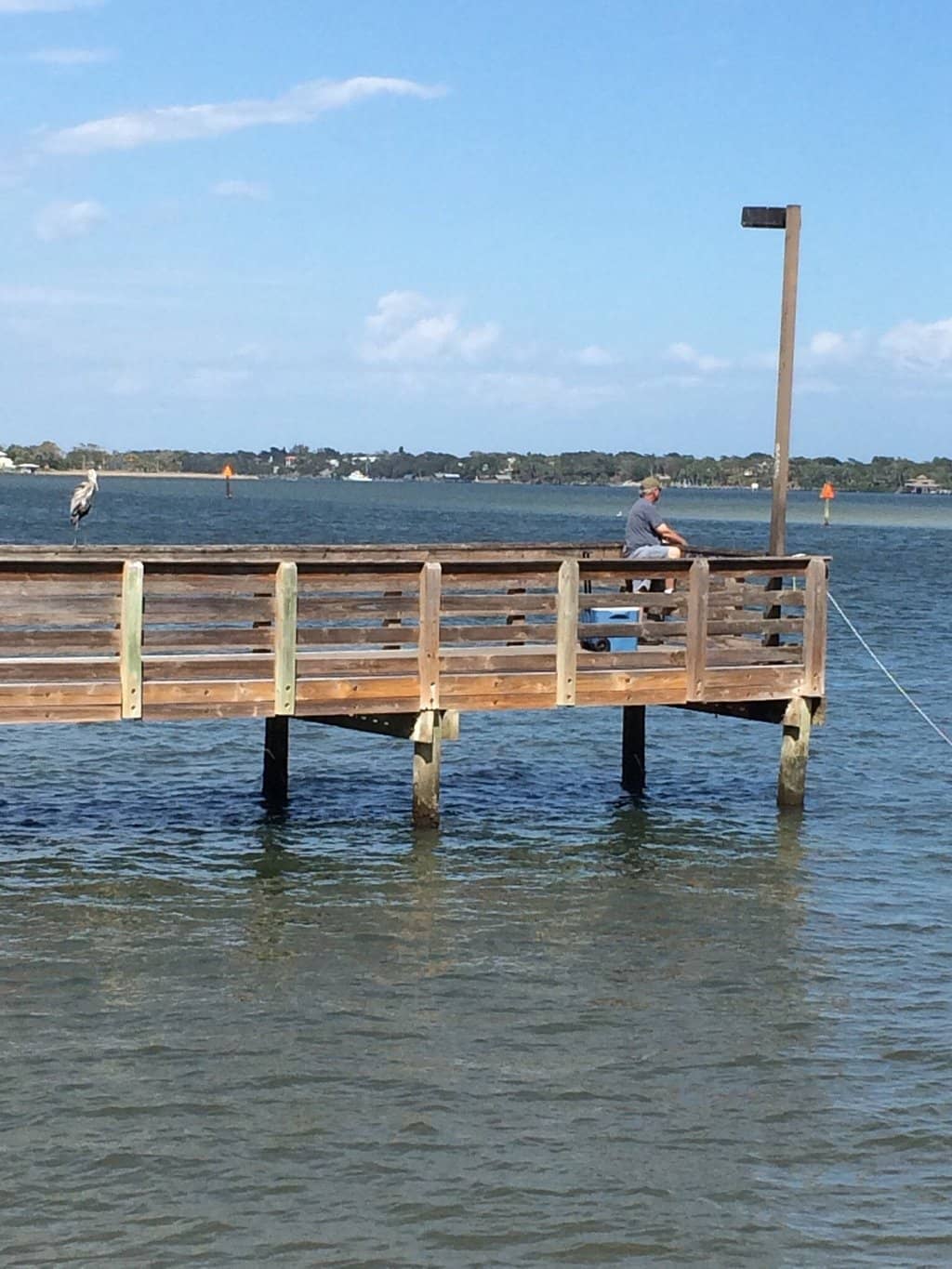 Mangrove Exploration