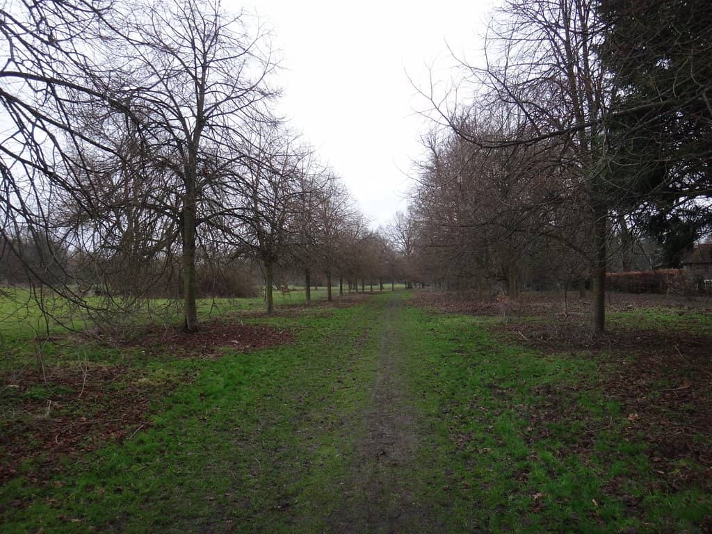 Picnic & Cafe Facilities