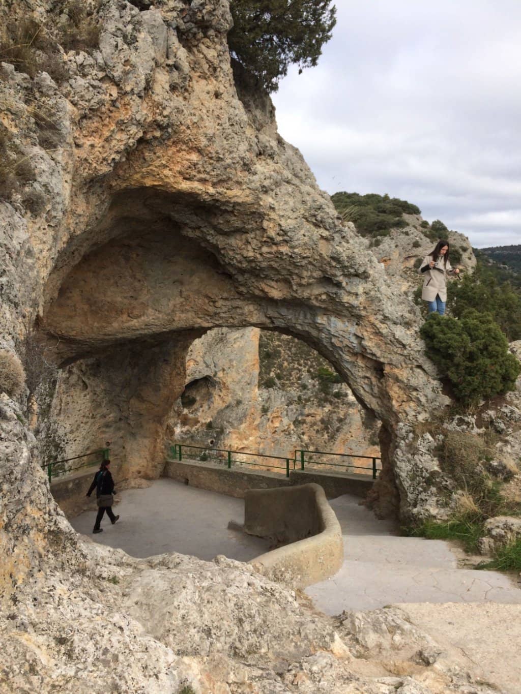 Vertical photo
