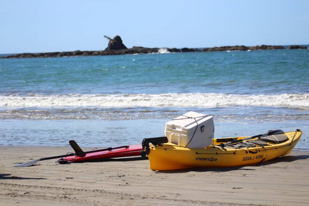 Local Surf Scene